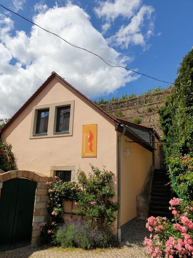 Unterkunft Am Weinberg Nunchritz エクステリア 写真