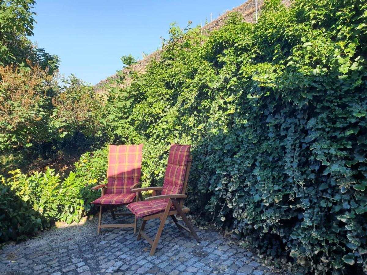 Unterkunft Am Weinberg Nunchritz エクステリア 写真